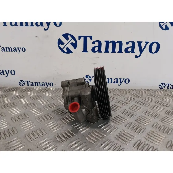 Bomba Direccion para Ford Fiesta (Cbk)