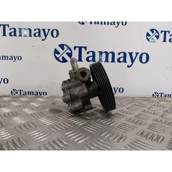 Bomba Direccion para Ford Fiesta (Cbk)