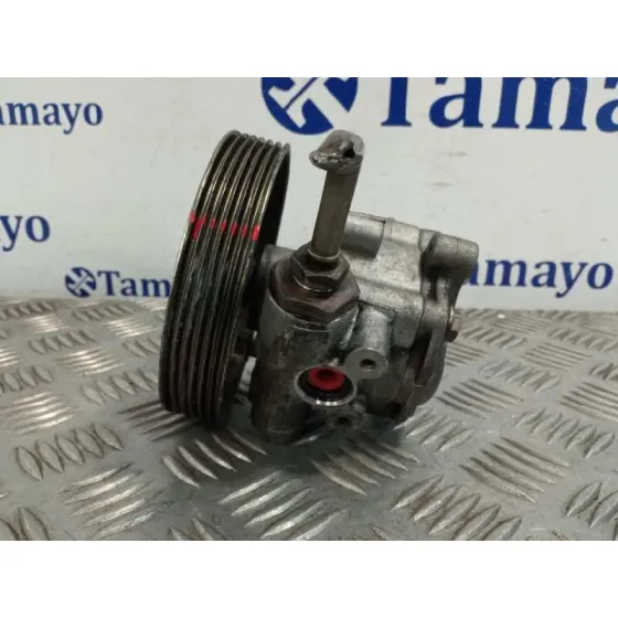 Bomba Direccion para Ford Fusion (Cbk)