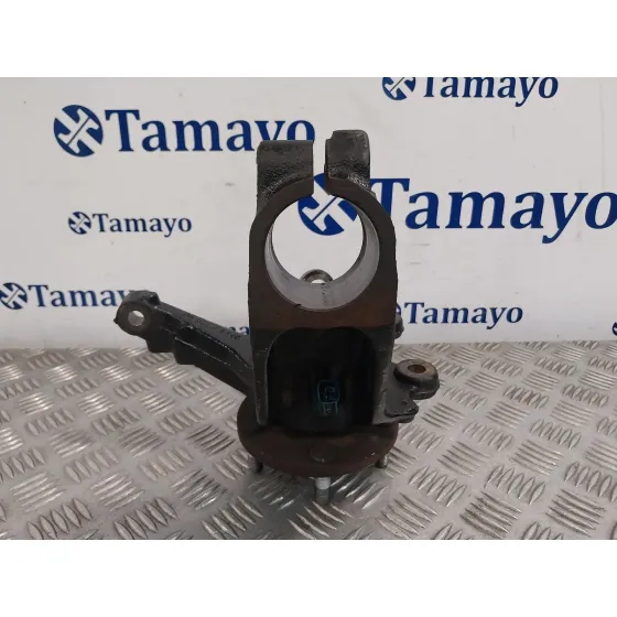 Mangueta Delantera Derecha para Ford Focus C-Max (Cap)