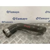 Tubo para Renault Scenic Iii (Jz0/1_)