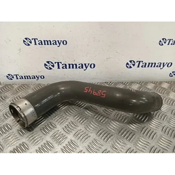 Tubo para Renault Scenic Iii (Jz0/1_)