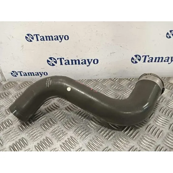 Tubo para Renault Scenic Iii (Jz0/1_)