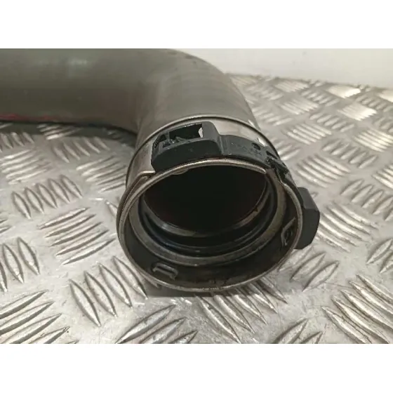 Tubo para Renault Scenic Iii (Jz0/1_)