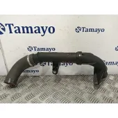 Tubo para Renault Scenic Iii (Jz0/1_)