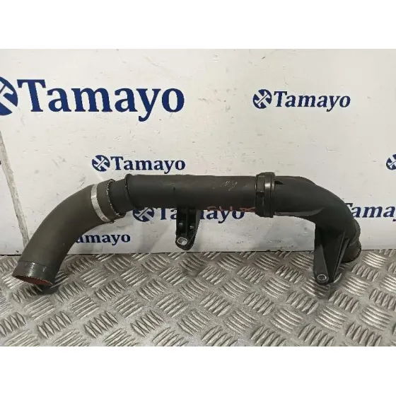 Tubo para Renault Scenic Iii (Jz0/1_)