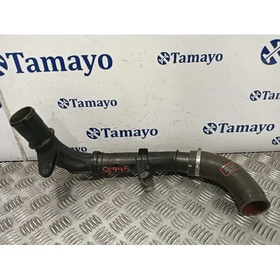 Tubo para Renault Scenic Iii (Jz0/1_)