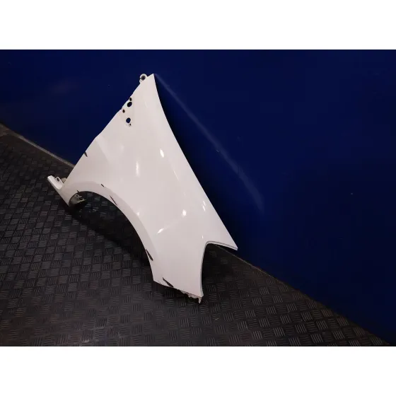 Aleta Delantera Derecha para Renault Clio Iii