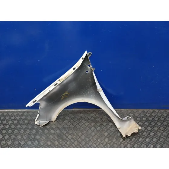 Aleta Delantera Derecha para Renault Clio Iii