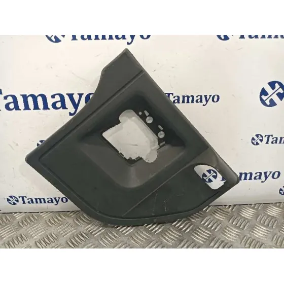 Moldura Puerta Trasera Izquierda para Fiat Scudo Combi (272)