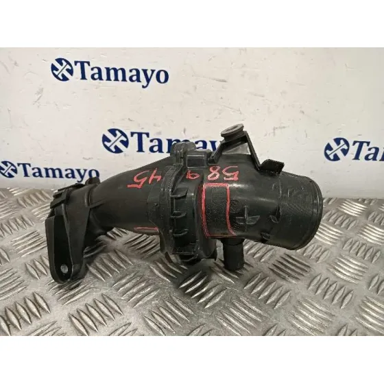 Tubo para Renault Scenic Iii (Jz0/1_)