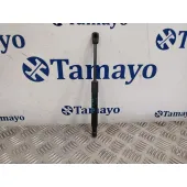 Amortiguadores Capo para Renault Scenic Iii (Jz0/1_)