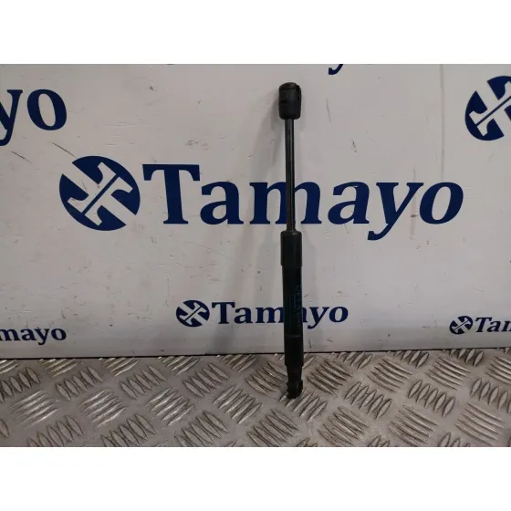 Amortiguadores Capo para Renault Scenic Iii (Jz0/1_)