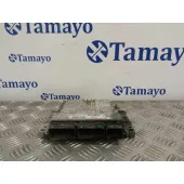 Centralita Motor Uce para Renault Megane Iii Berlina 5 P