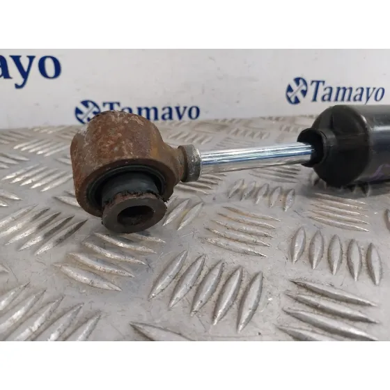 Amortiguador Trasero para Peugeot Partner Kombi
