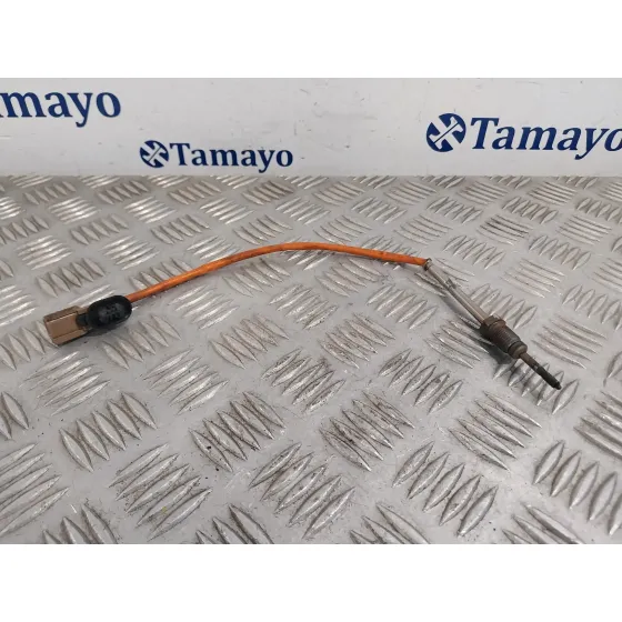 Sonda Lambda para Renault Scenic Iii (Jz0/1_)