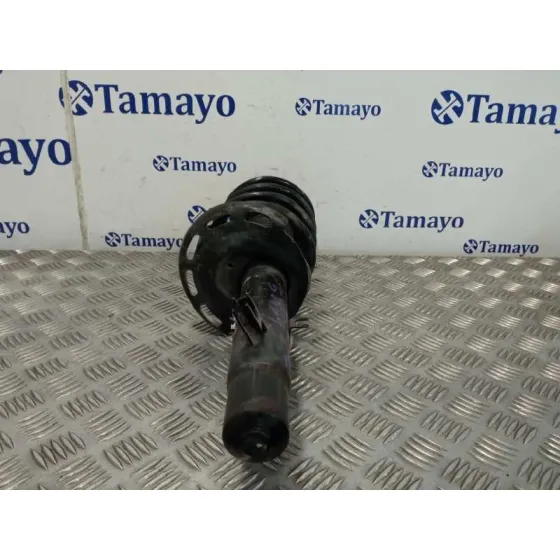 Amortiguador Delantero Izquierdo para Peugeot 208