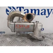 Enfriador Egr para Renault Scenic Iii (Jz0/1_)