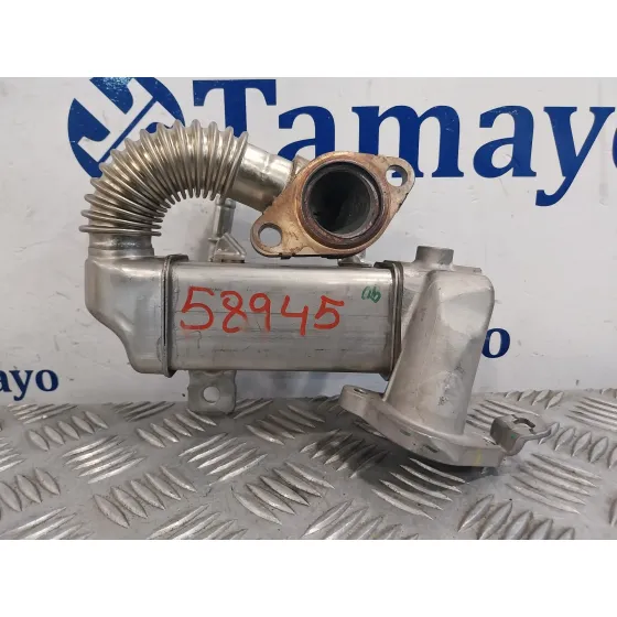 Enfriador Egr para Renault Scenic Iii (Jz0/1_)