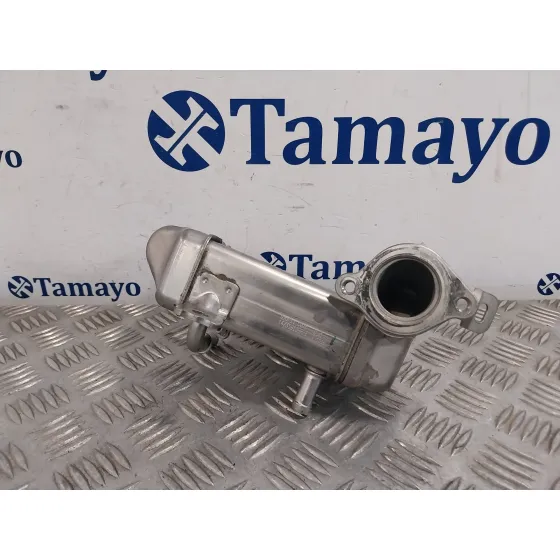 Enfriador Egr para Renault Scenic Iii (Jz0/1_)