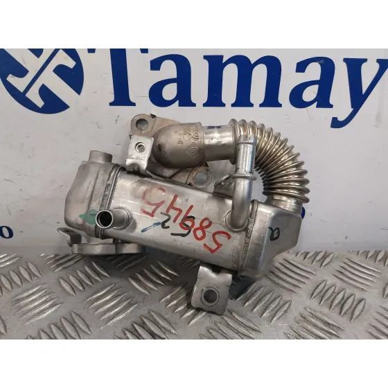 Enfriador Egr para Renault Scenic Iii (Jz0/1_)