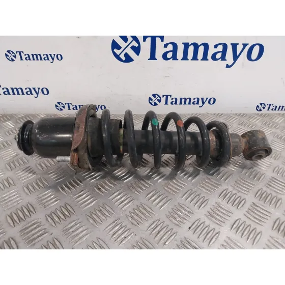 Amortiguador Trasero para Toyota Avensis Wagon (T25)