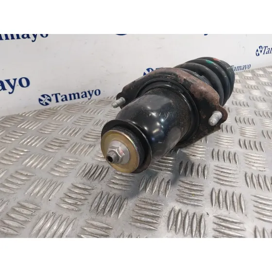 Amortiguador Trasero para Toyota Avensis Wagon (T25)