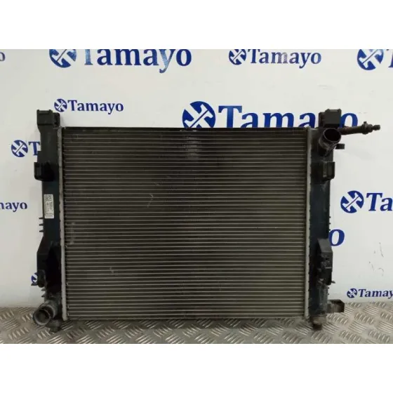 Radiador Agua para Dacia Sandero