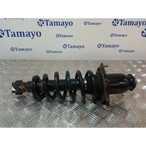 Amortiguador Trasero Izquierdo para Toyota Avensis Wagon (T25)