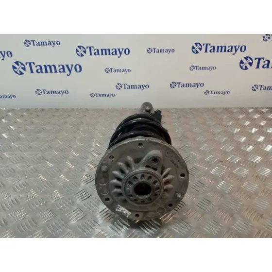 Amortiguador Delantero Izquierdo para Bmw Serie 3 Lim. (F30)