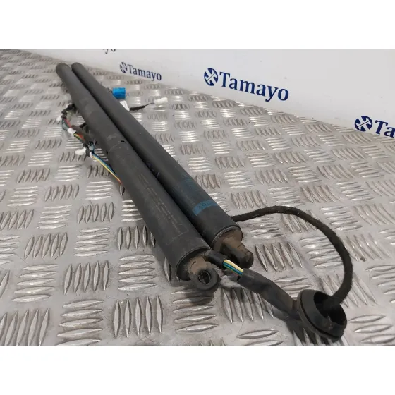 Amortiguadores Maletero / Porton para Mercedes-Benz Clase Gla (W156)