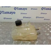 Deposito Expansion para Renault Scenic Iii (Jz0/1_)