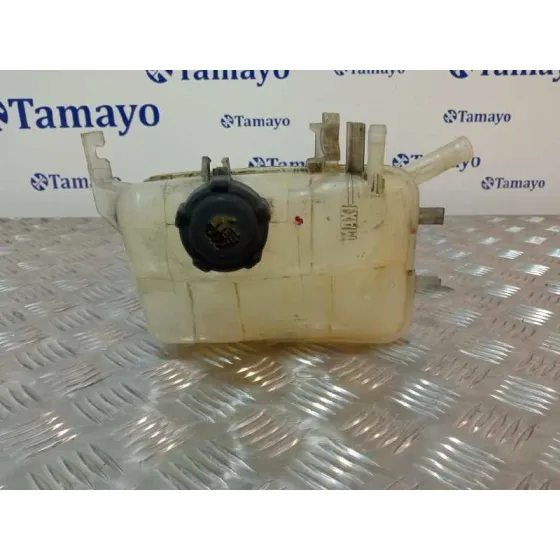 Deposito Expansion para Renault Scenic Iii (Jz0/1_)