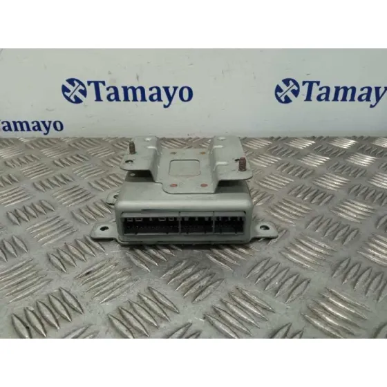 Modulo Electronico para Ssangyong Rodius