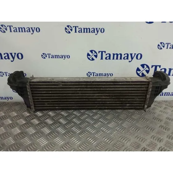 Intercooler para Bmw X5 (E53)