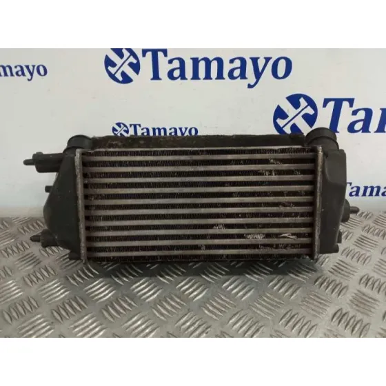Intercooler para Ford B-Max