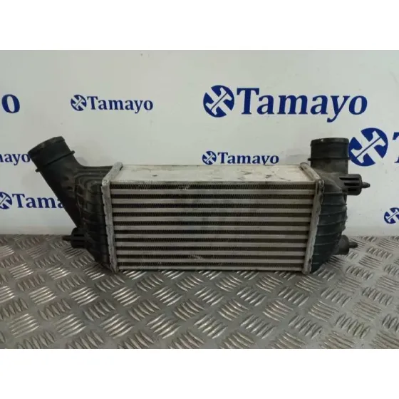 Intercooler para Fiat Scudo Combi (272)