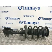 Amortiguador Delantero Izquierdo para Opel Movano B Pritsche/Kipper/Koffer