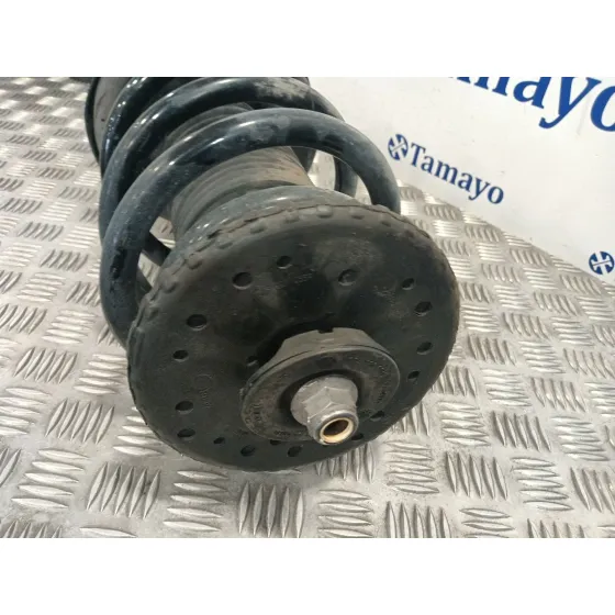 Amortiguador Delantero Izquierdo para Opel Movano B Pritsche/Kipper/Koffer