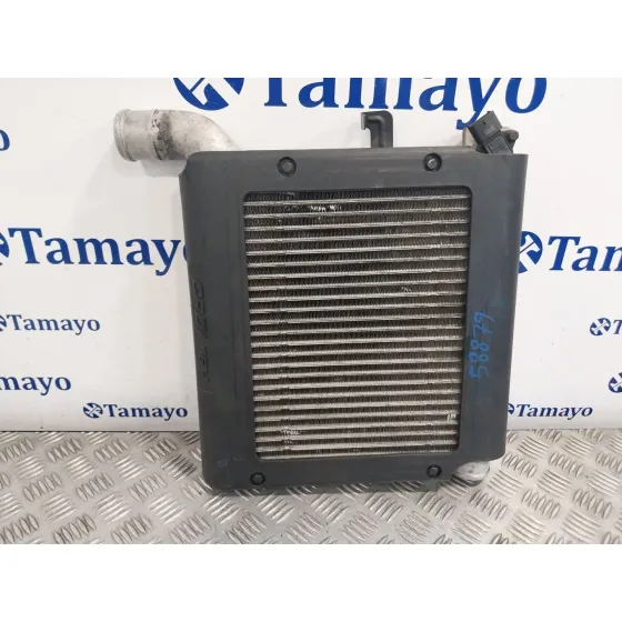 Intercooler para Hyundai Santa Fe (Bm)