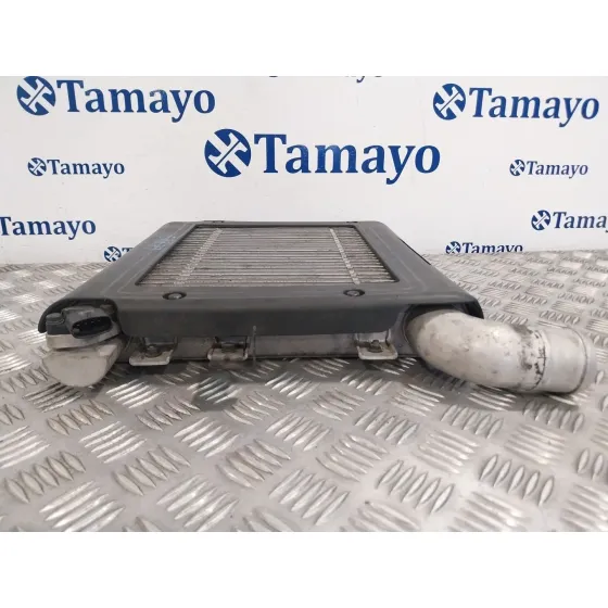 Intercooler para Hyundai Santa Fe (Bm)