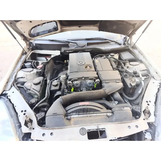 Deposito Limpia para Mercedes-Benz Slk (R171)
