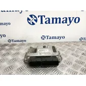 Centralita Motor Uce para Hyundai Santa Fe (Bm)