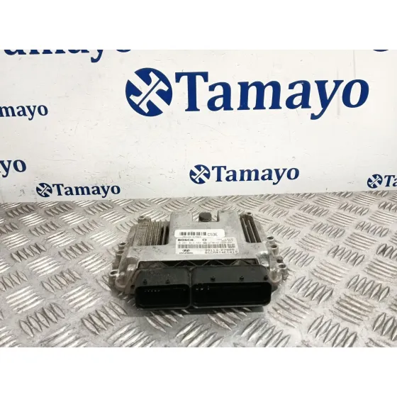 Centralita Motor Uce para Hyundai Santa Fe (Bm)