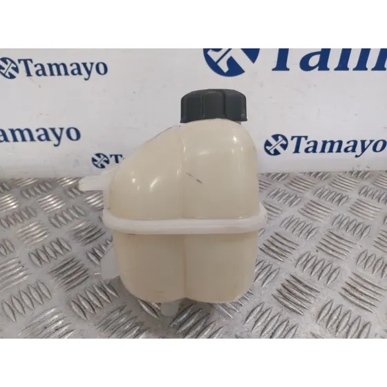 Deposito Expansion para Mini Mini Countryman (R60)