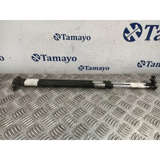 Amortiguadores Maletero / Porton para Honda Cr-V (Rd1/3)