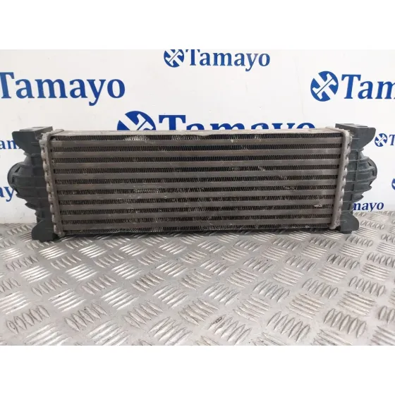 Intercooler para Ford Transit Kastenwagen (Ttg)