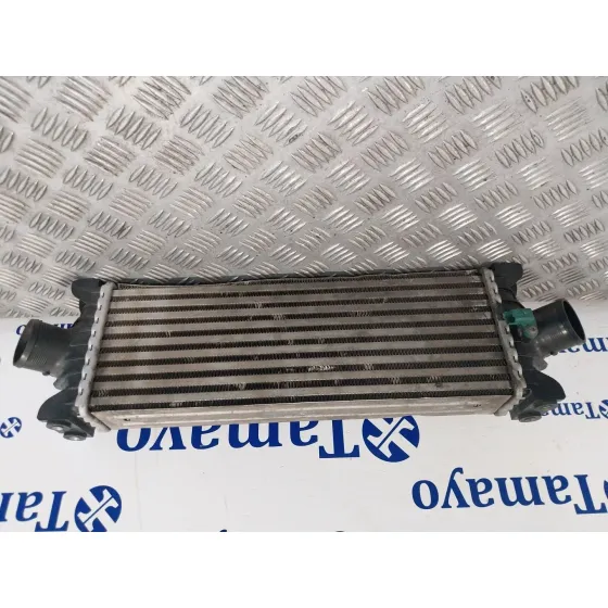 Intercooler para Ford Transit Kastenwagen (Ttg)
