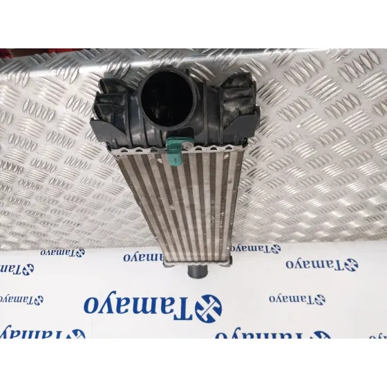 Intercooler para Ford Transit Kastenwagen (Ttg)