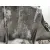 Caja Cambios para Renault Scenic Ii (Jm0/1_)
